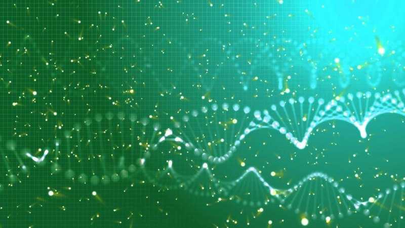 Биология фон