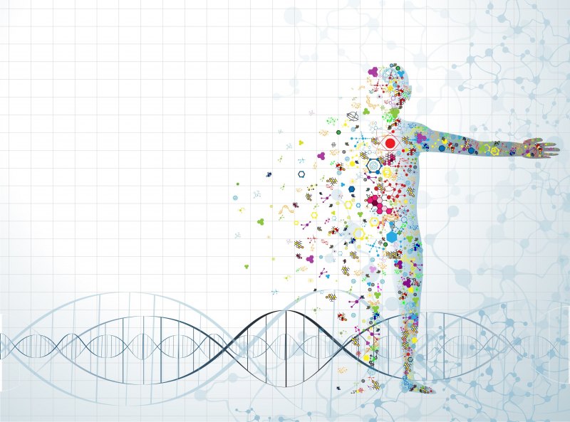 Фон для презентации по биологии человек