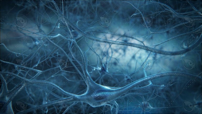 Неврология фон