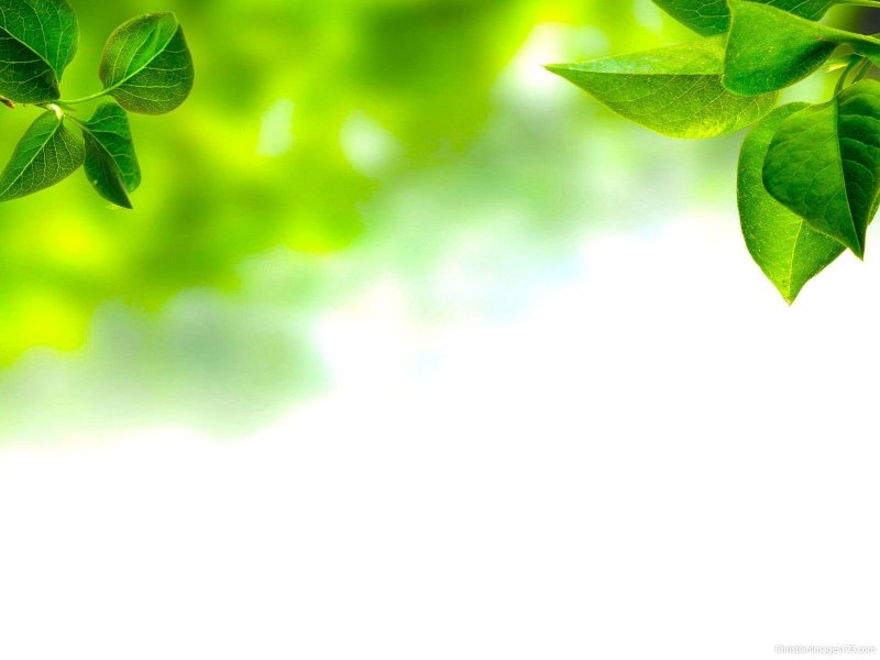 Экологический фон