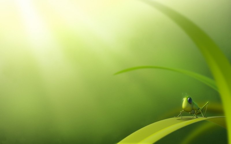 Фон для презентации по биологии