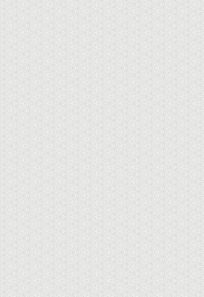 Гильоширная сетка а4