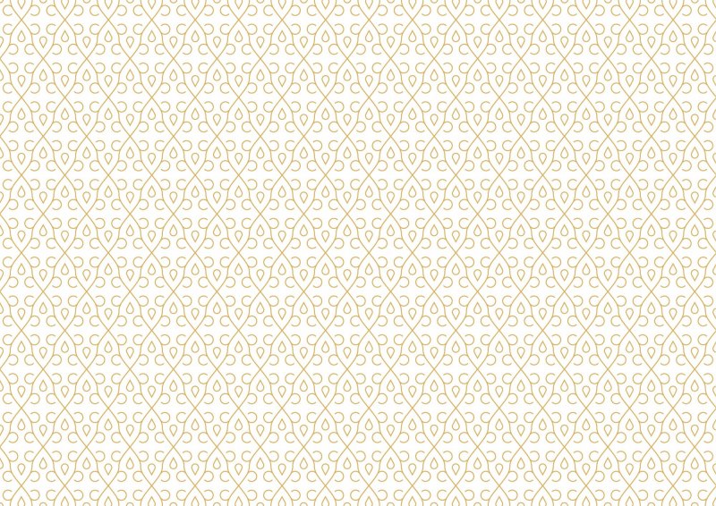 Защитная сетка гильош