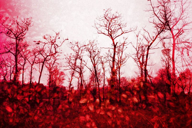 Фон для экспозиции