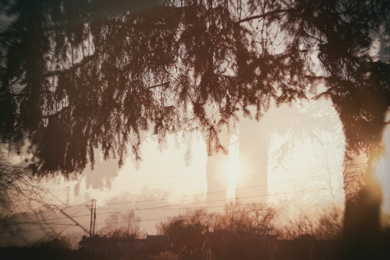 Двойная экспозиция природа