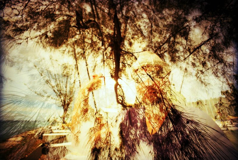 Фон двойная экспозиция природа