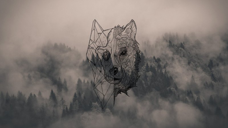 Горы туман лес Скандинавия