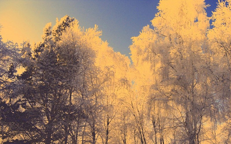 Двойная экспозиция природа