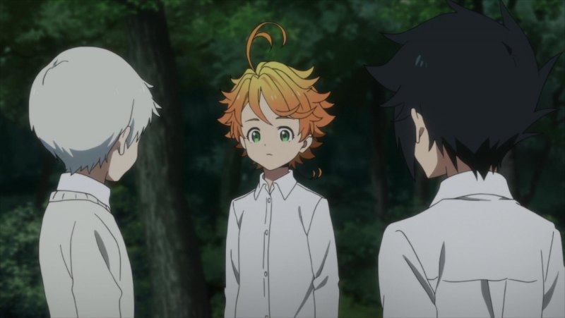 Рей аниме обещанный Неверленд