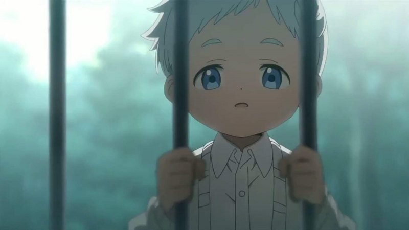 Норман обещанный Неверленд