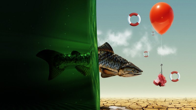 Рыбалка панорама