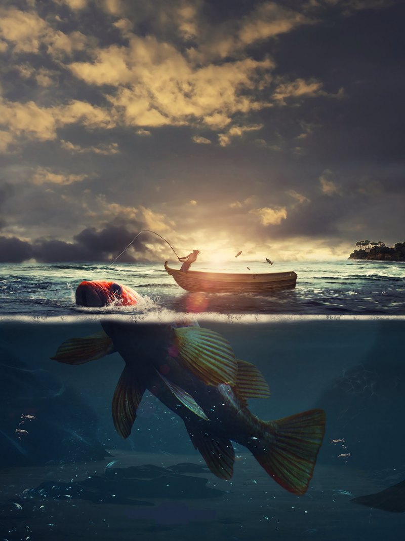 Креативная рыба