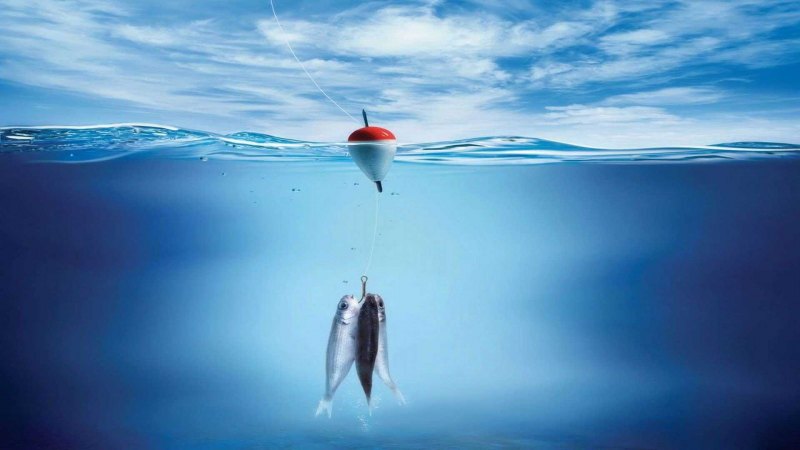 Рыбалка обои