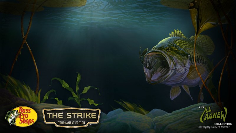 Обои на рабочий стол рыбалка