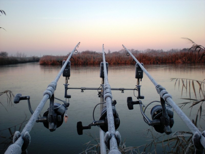 Карповая рыбалка