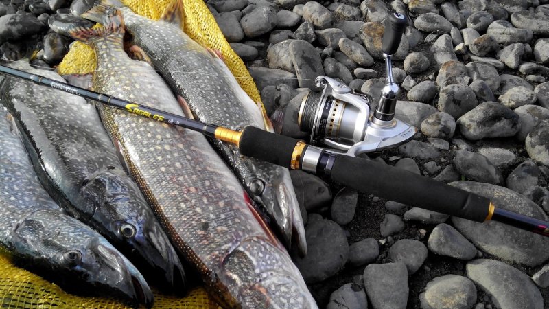 Спиннинговая рыбалка