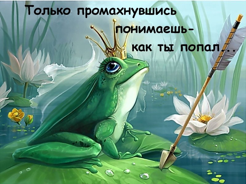 Царевна лягушка натюрморт