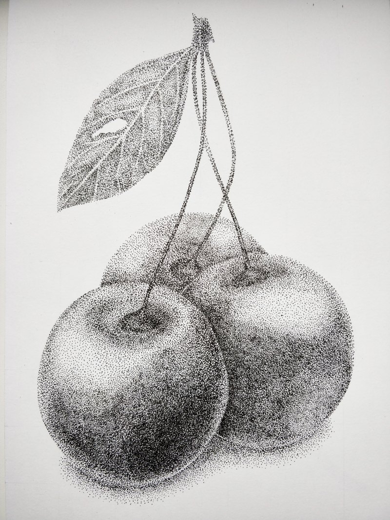 Пуантель груши