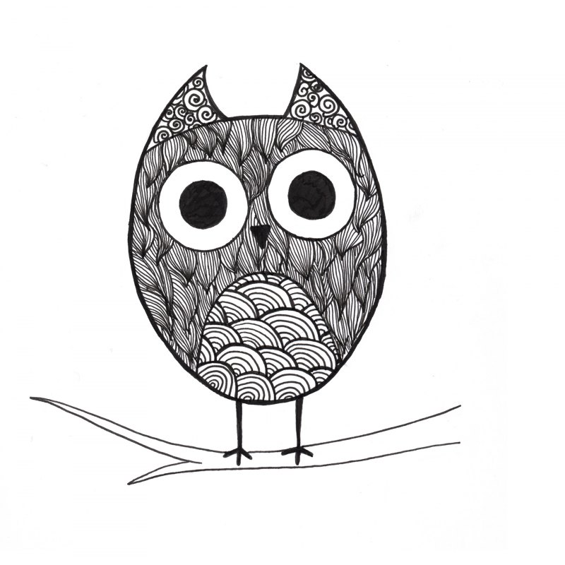 Графическая Сова
