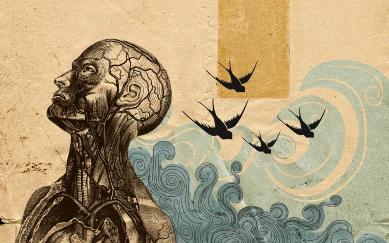 Философские обои