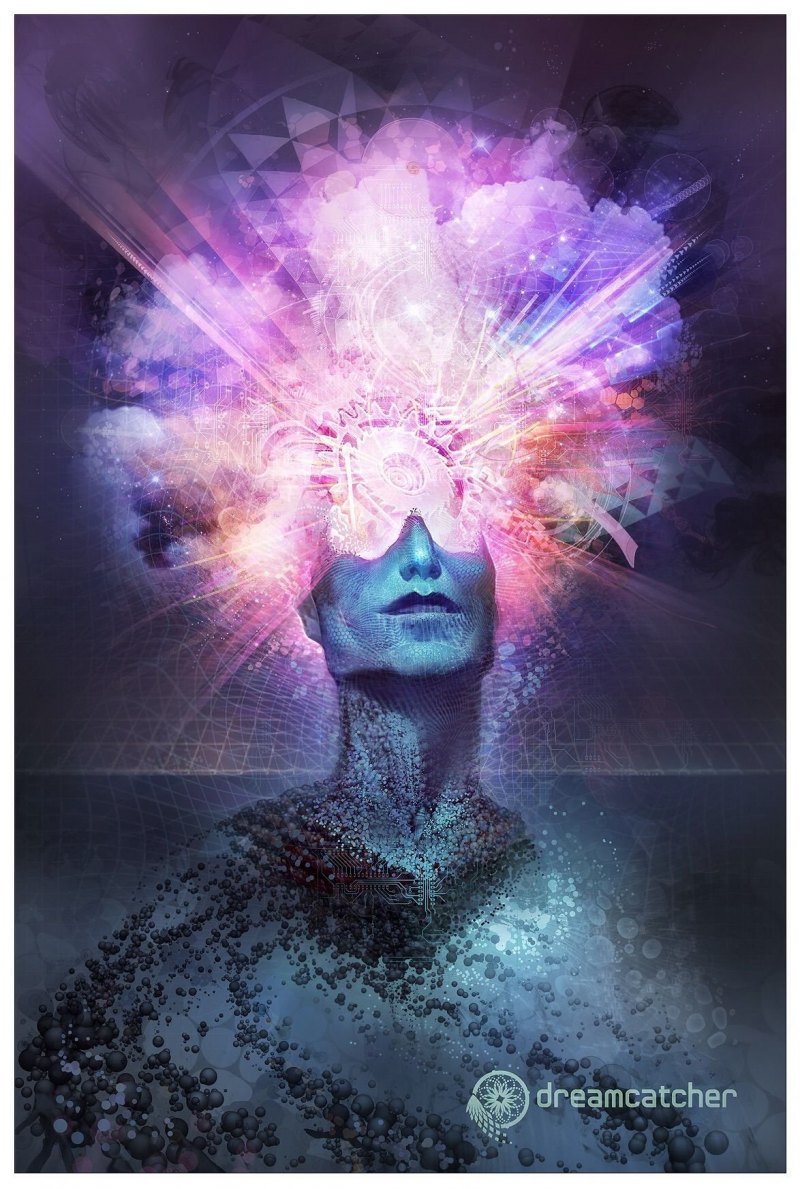 Виженари арт