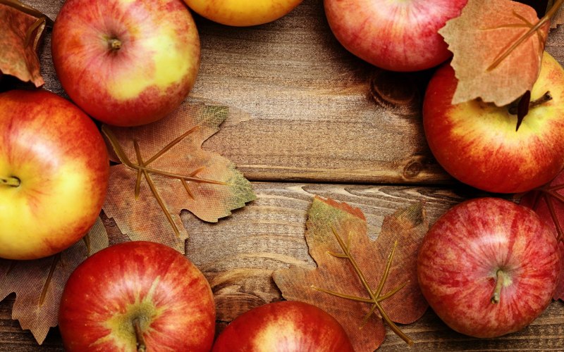 Яблоки осенью