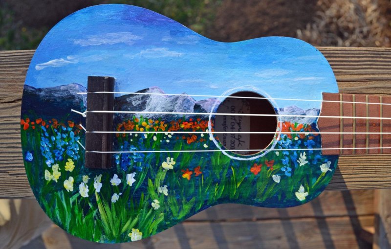 Разрисованная укулеле сопрано