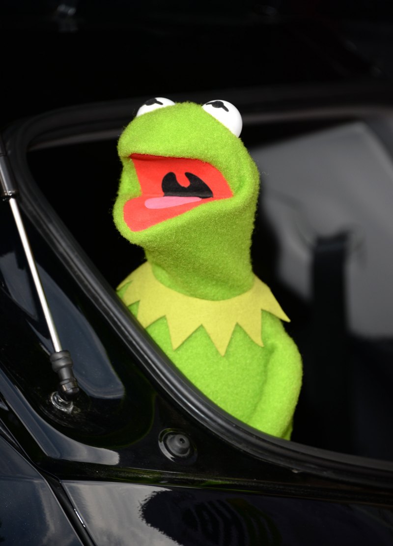 Плюшевая лягушка Кермит