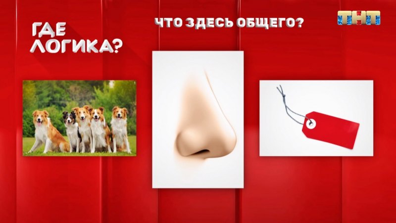 Картинки из шоу где логика