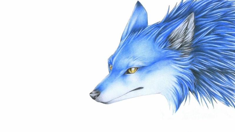 Голубые лисы