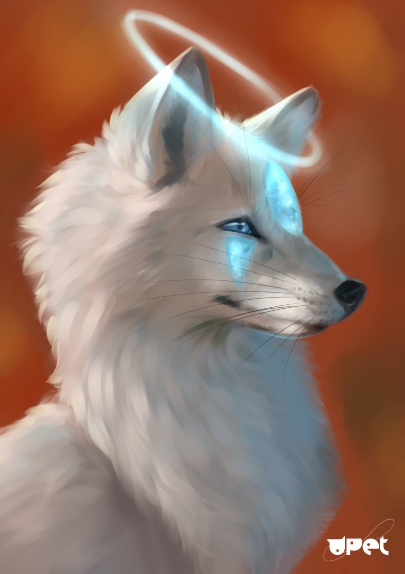 Белый Лис с голубыми глазами