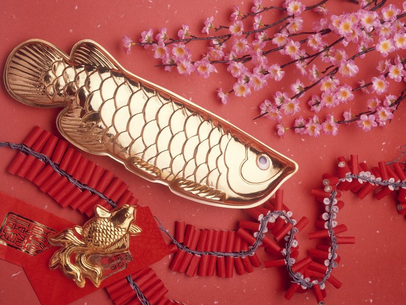 Денежная рыба фен шуй