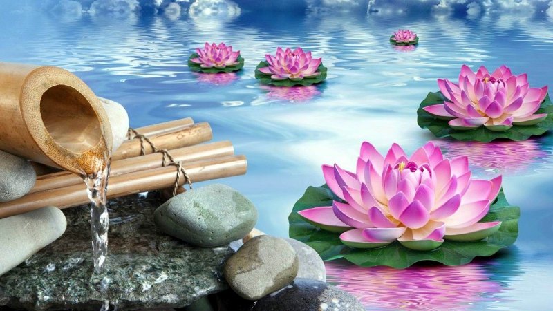 Бамбук камни вода