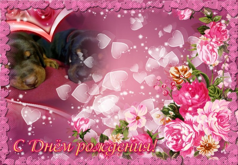 Поздравления с днём рождения