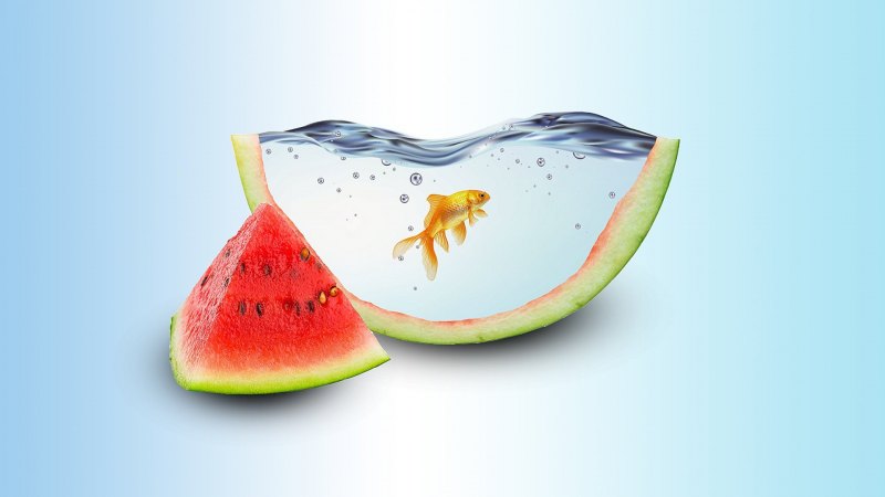 Фон с арбузиками