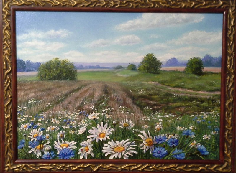 Пейзажи с ромашками и васильками