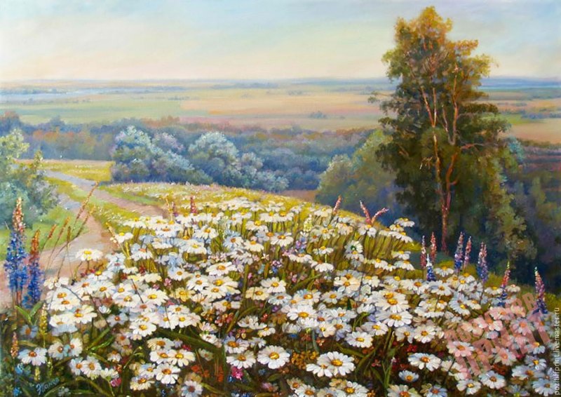 Эдуард Панов поле ромашек