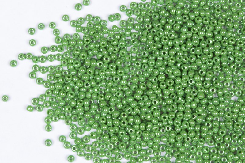 58210 Бисер Чехия