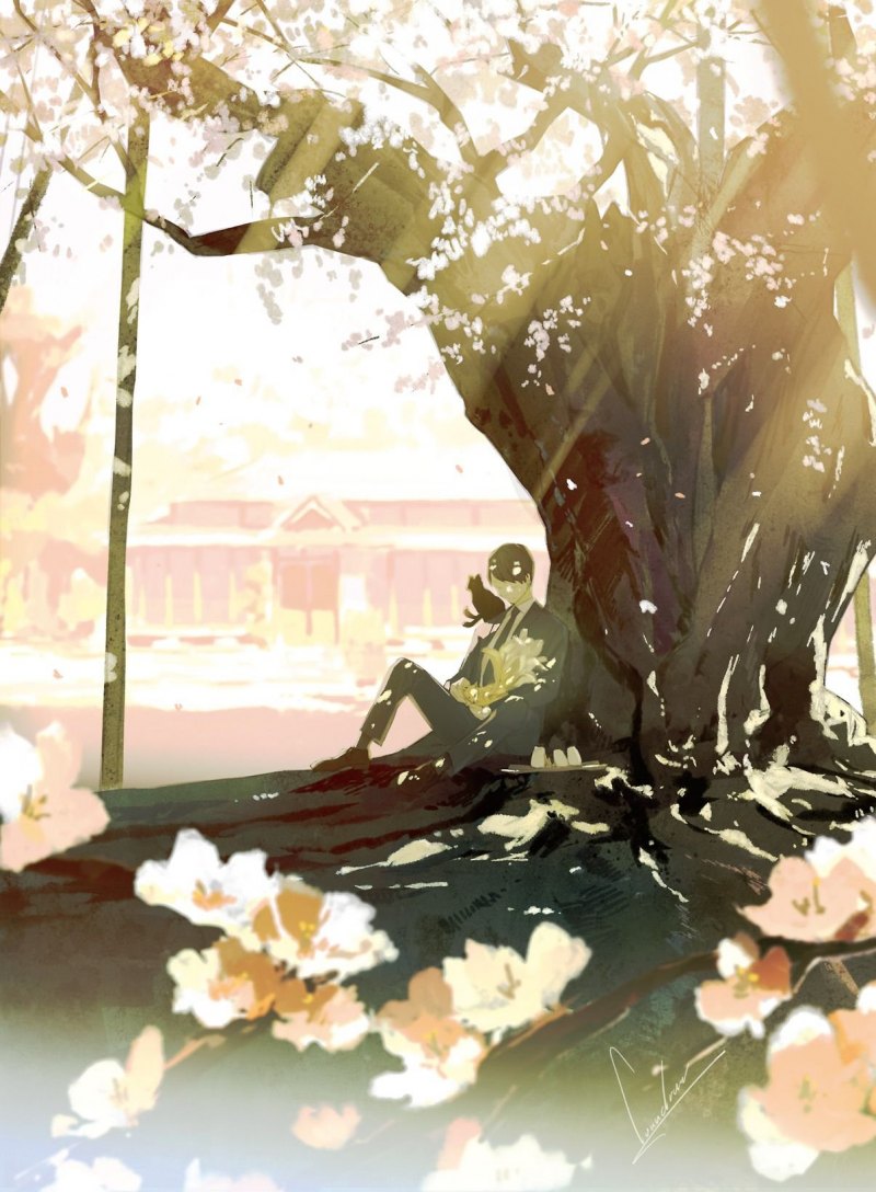 Сижу под сакурой