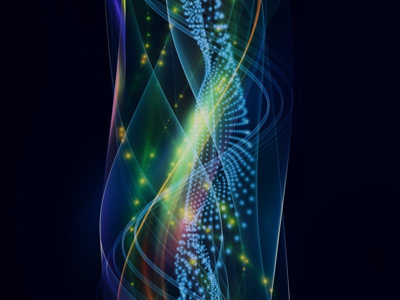 Фиолетовая листва