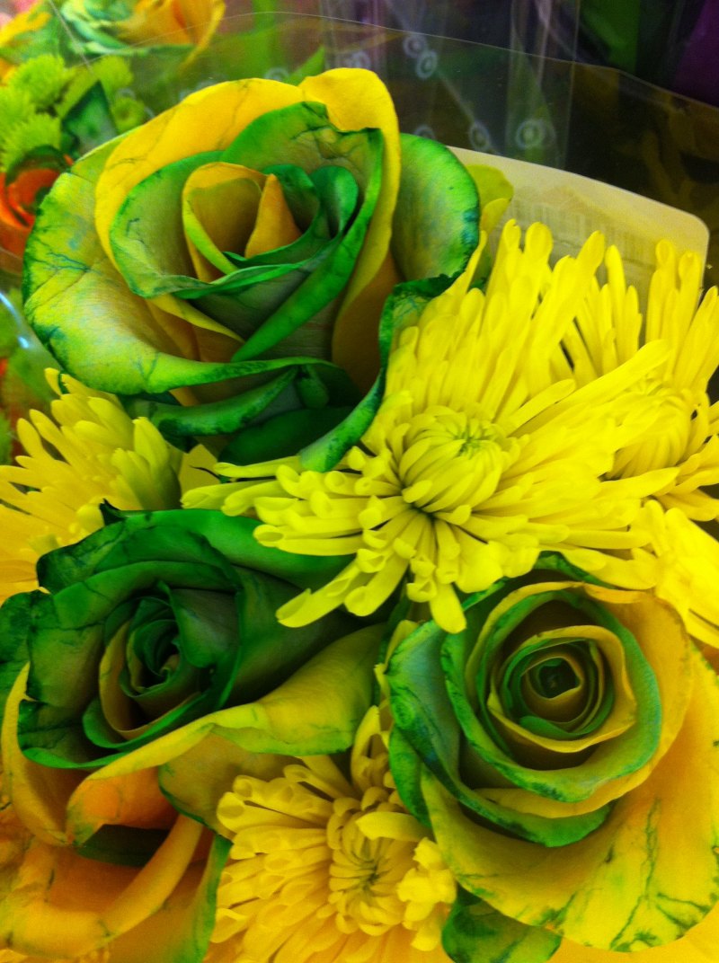 Желто зеленые розы