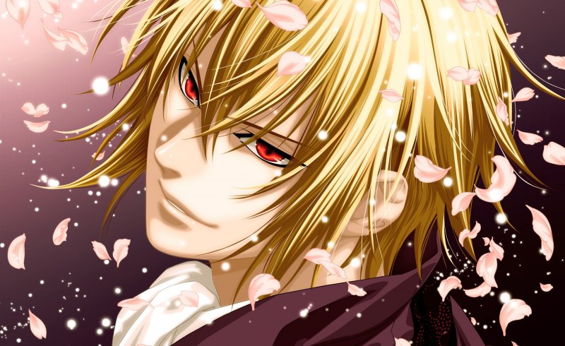 Сказание о демонах Сакуры Тикагэ Кадзама