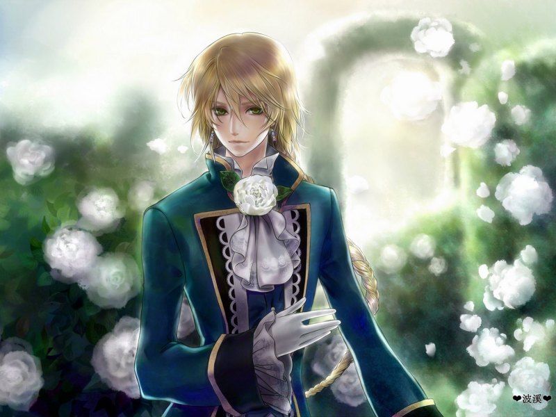 Аниме блондин Аристократ