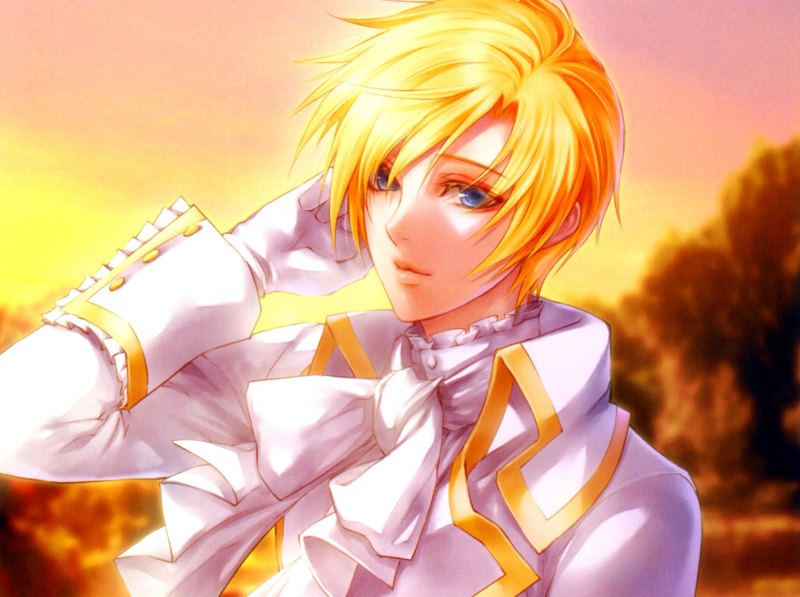 Аниме бисёнен принц