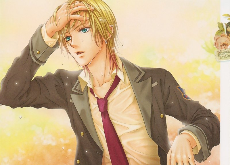 Аниме бисёнен принц