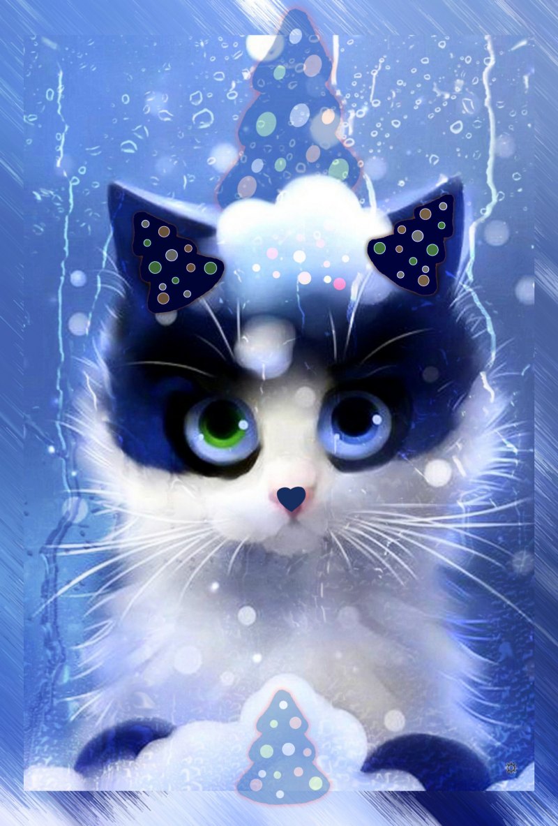 Рихард Донскис котики