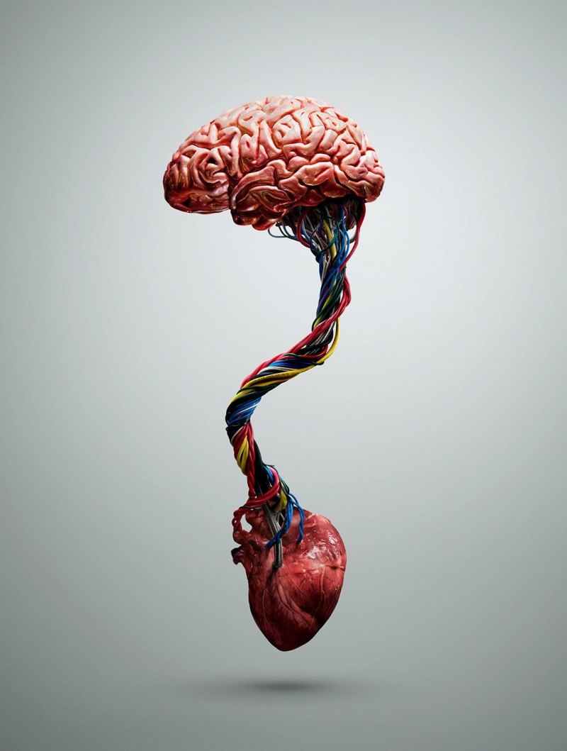 Креативный мозг