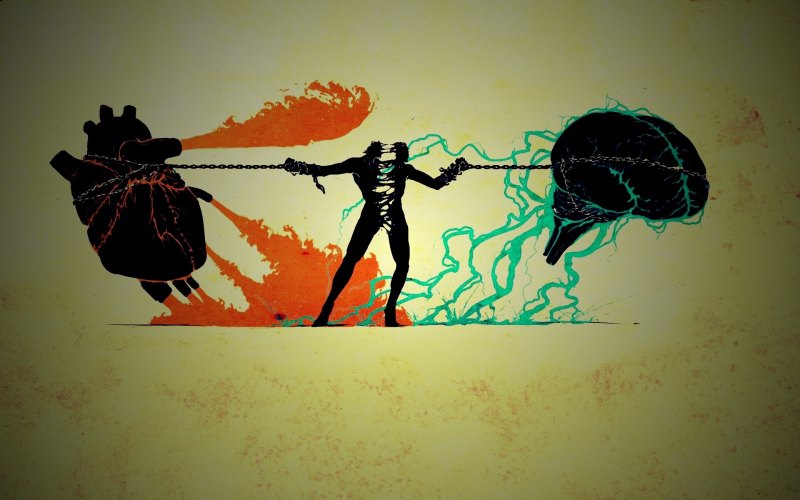 Между сердцем и разумом