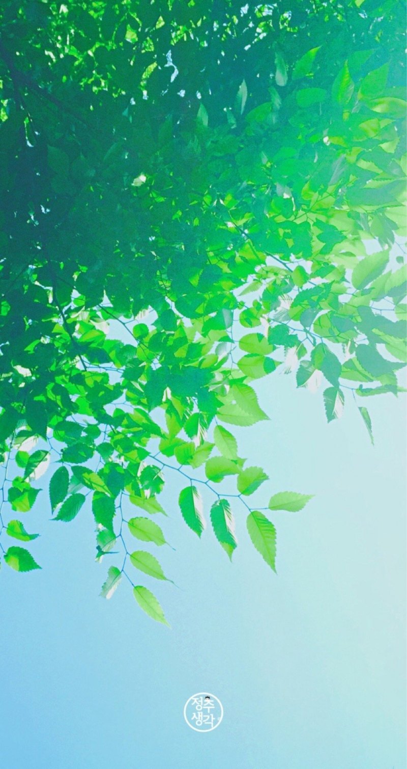 Светло зеленые цветы Эстетика