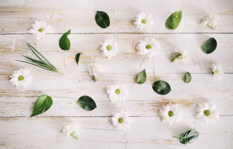 Зелень на деревянном столе